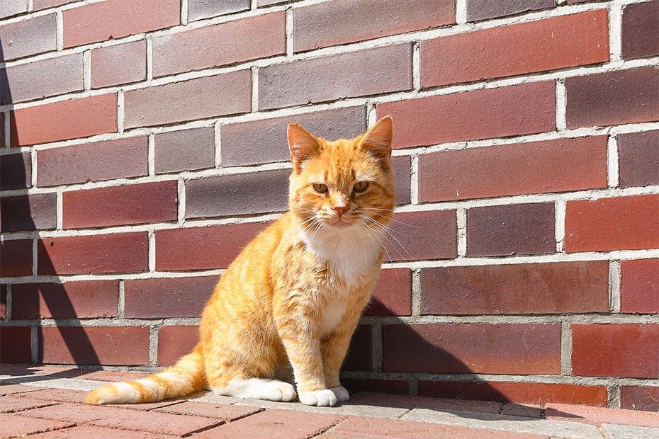 Foto aus der Fotogruppe 