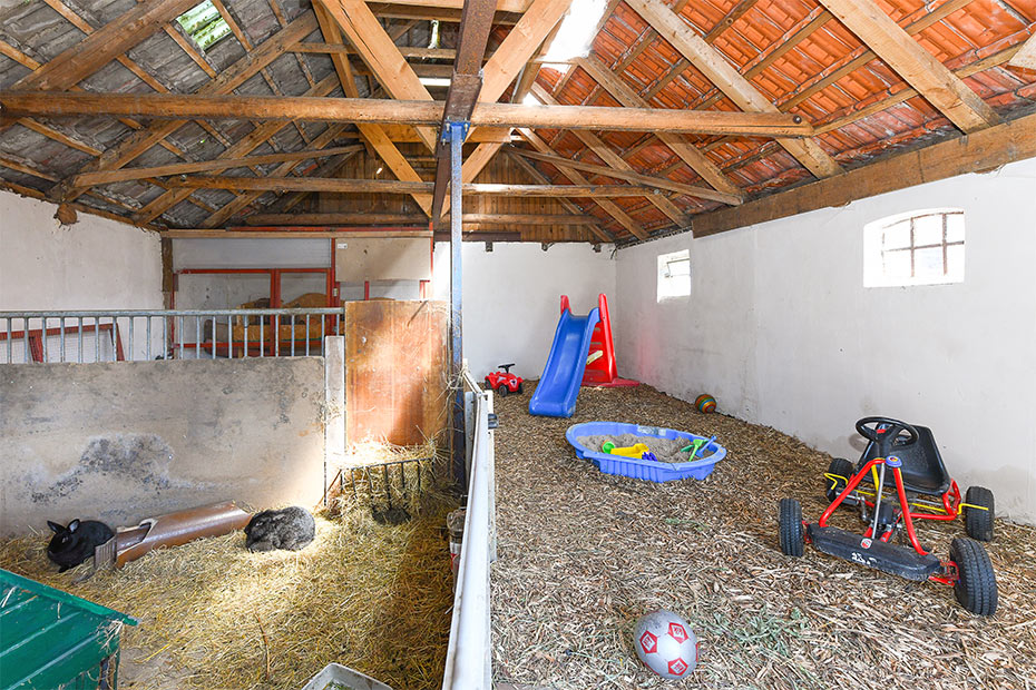 Foto aus der Fotogruppe 