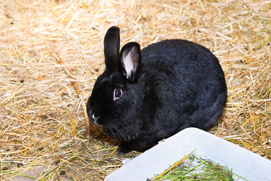 Foto aus der Fotogruppe 