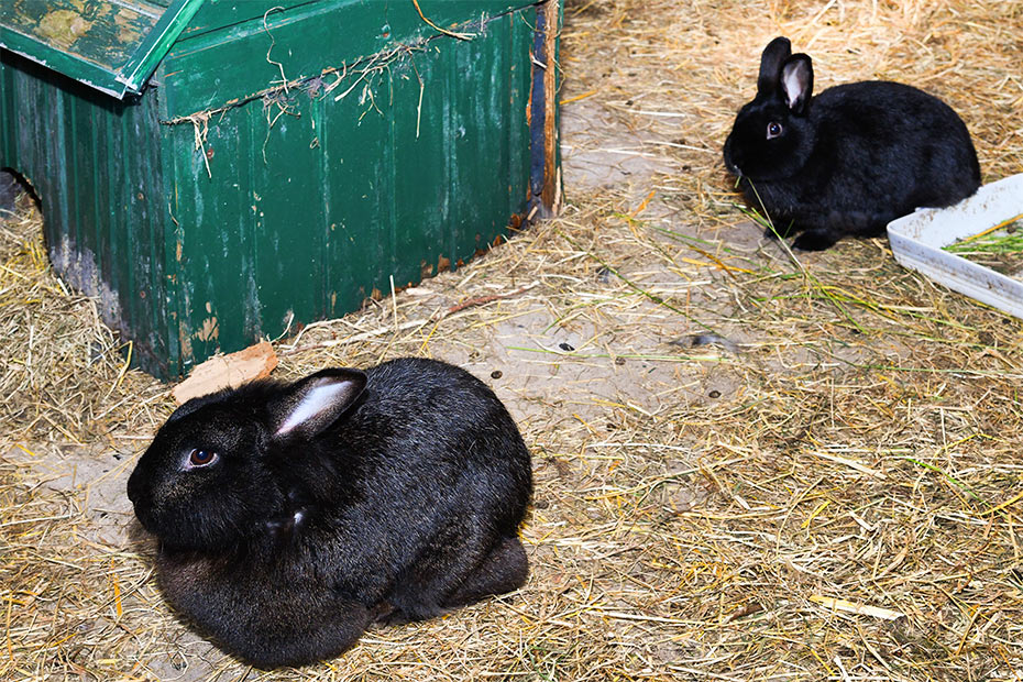 Foto aus der Fotogruppe 