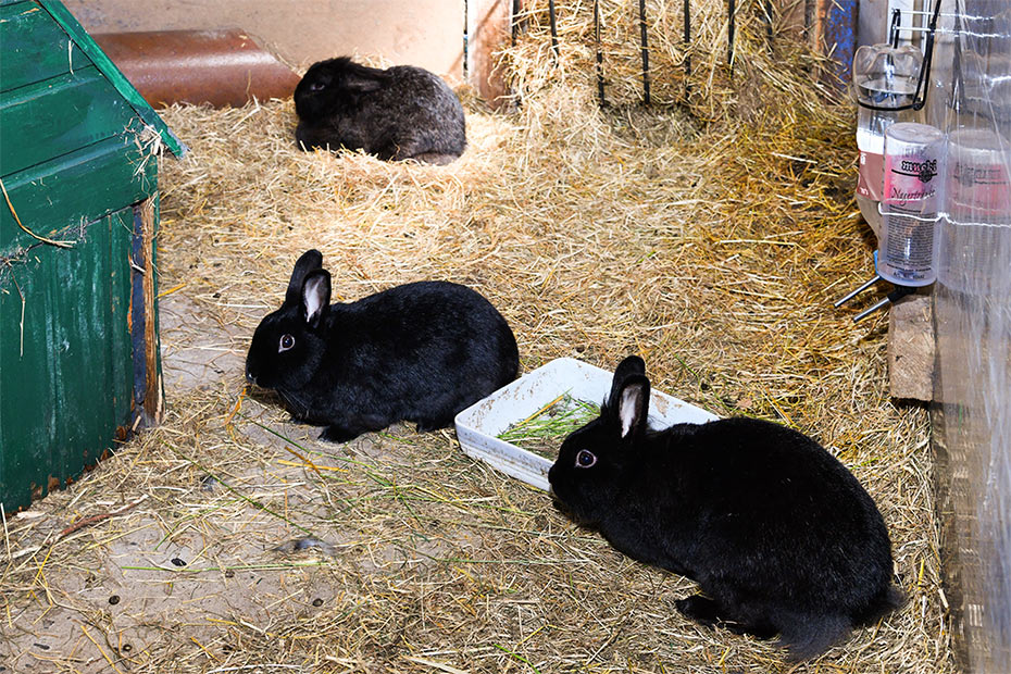 Foto aus der Fotogruppe 