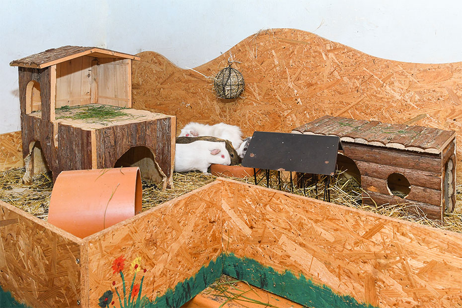 Foto aus der Fotogruppe 