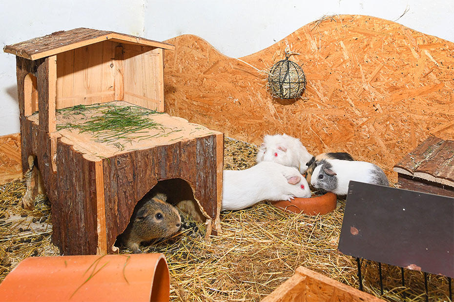 Foto aus der Fotogruppe 