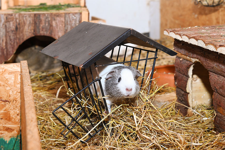 Foto aus der Fotogruppe 